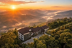Olive Woods Munnar, Munnar