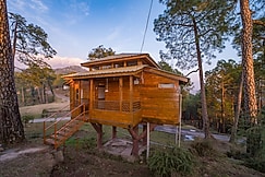 Forest Rest House Satobari - Eco Tourism, Dharamshala