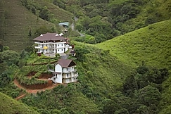 Monkey Tribe Vagamon, Pala