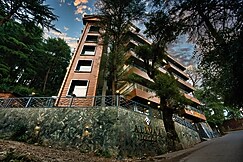 Alivaa Boutique, Dharamkot Road McLeodganj | Valley & Forest Views | Rooftop Monkey Bar, Dharamshala