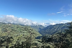 Mist & Mountain Home, Shimla