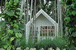 Coco Brookes, Mysore