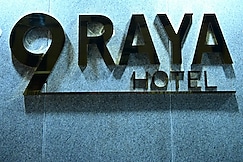 9 RAYA HOTEL, Gannavaram