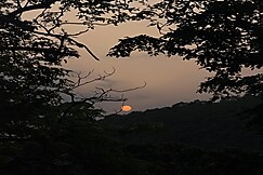 Vanvaas The Forest Note, Omkareshwar