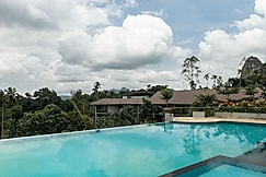 Ashirvadh Nature Resort, Wayanad