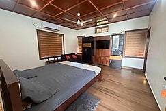 Turtle Island - Ayurveda Backwater Stay, Munroe Island, Kottarakara