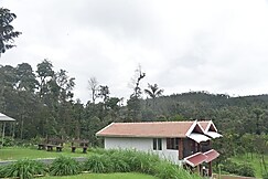 MoonMist Resort, Chikmagalur