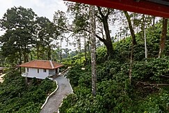 Black Forest Cottage, Coorg