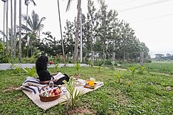 SaffronStays Thrya Farm, Tumkur