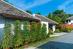 The Hive Hotel , Koh Samui