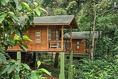 Misty Mountain Resort | With 18 Nature Experience Activities, Vagamon