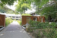 Phi Phi Andaman Beach Resort, Phi Phi