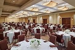 DoubleTree by Hilton Hotel San Antonio Airport, Bexar