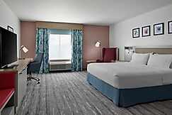 Hilton Garden Inn Tampa East Brandon, Hernando