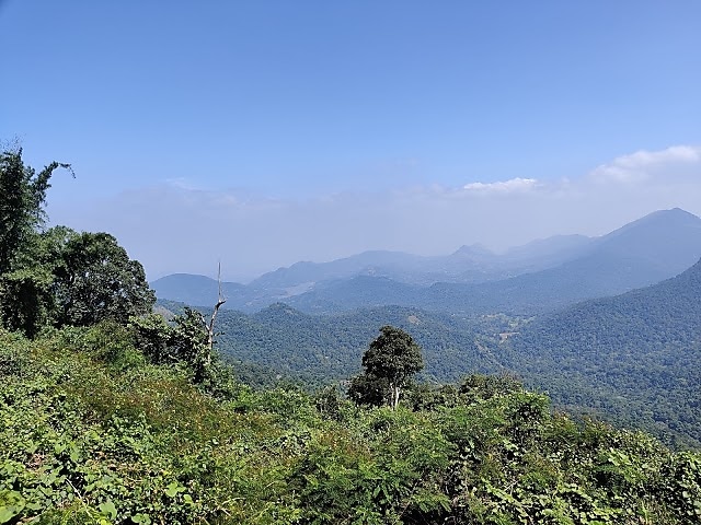 location img 0