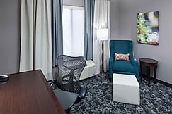 Hilton Garden Inn Detroit/Novi, Oakland