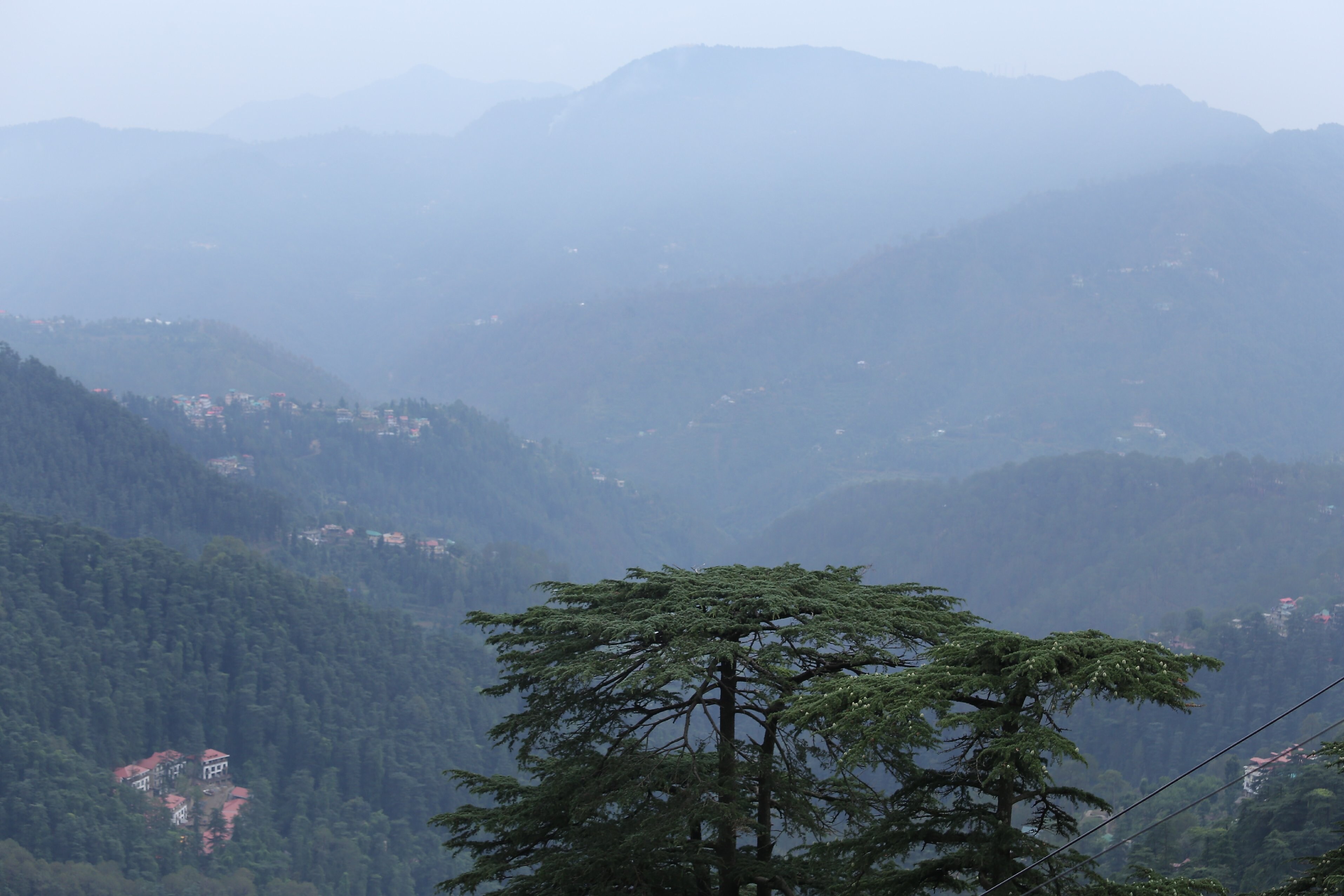 The Cedar Grand Hotel and Spa Shimla Hotel Price, Address & Reviews