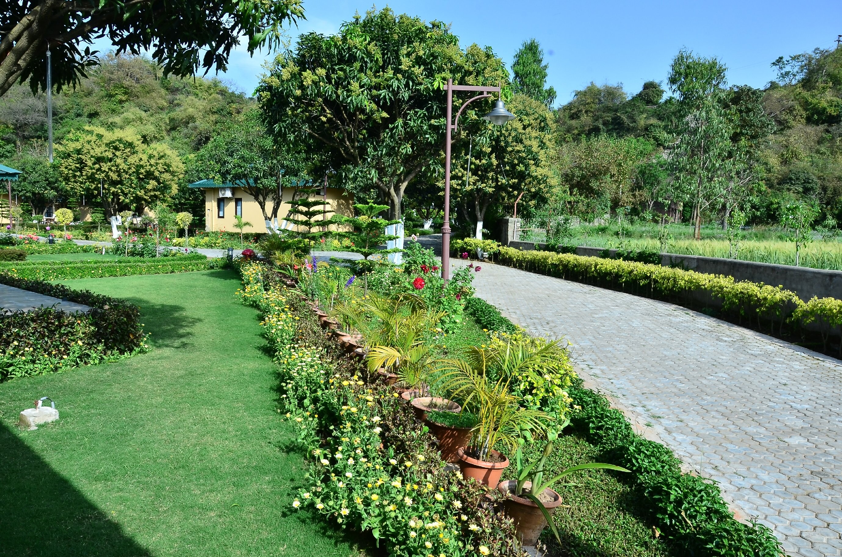 Sailani Resort & Palace - Tap to explore photos