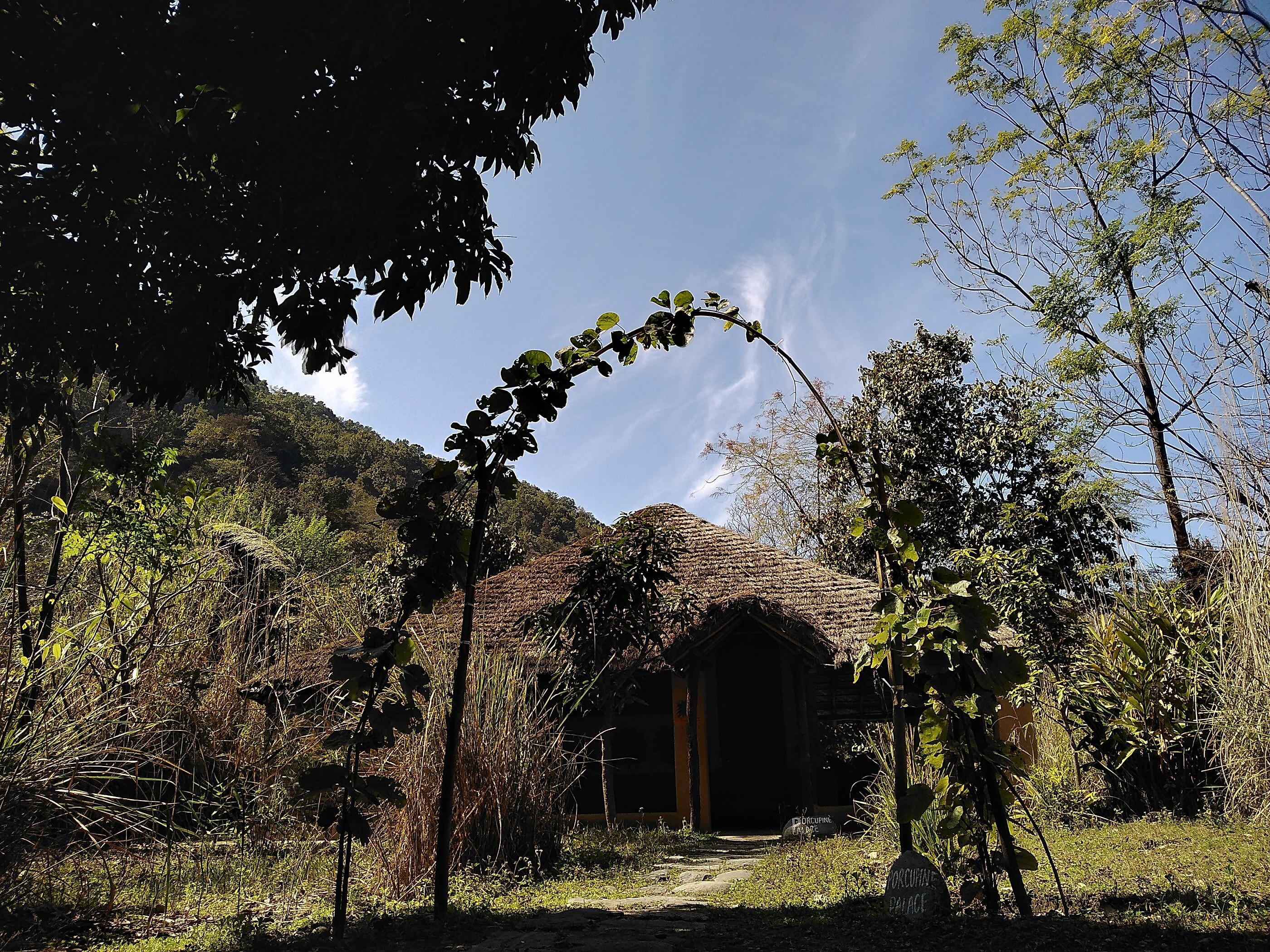 The Vanghat Lodge - Tap to explore photos