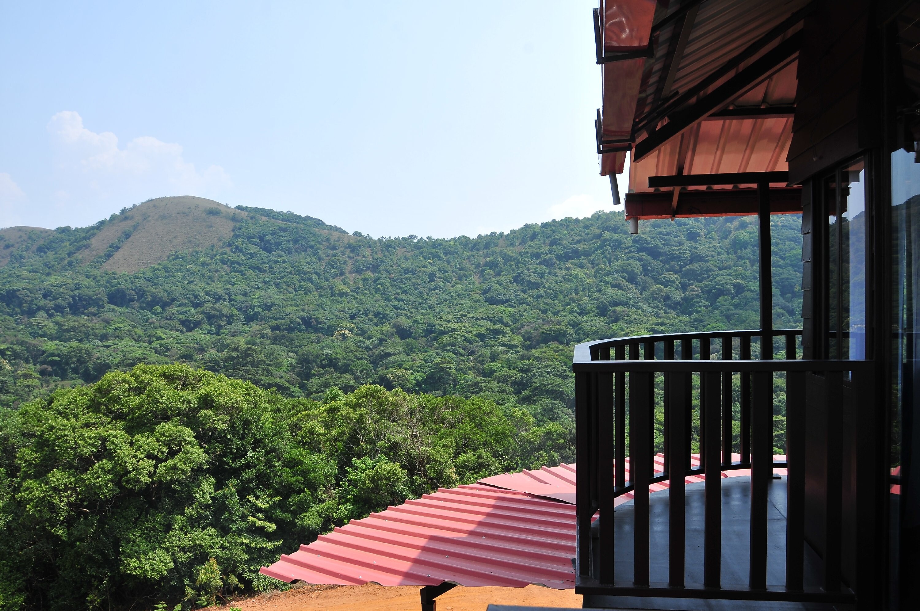 Treehouse Tree house Price, Address & Reviews