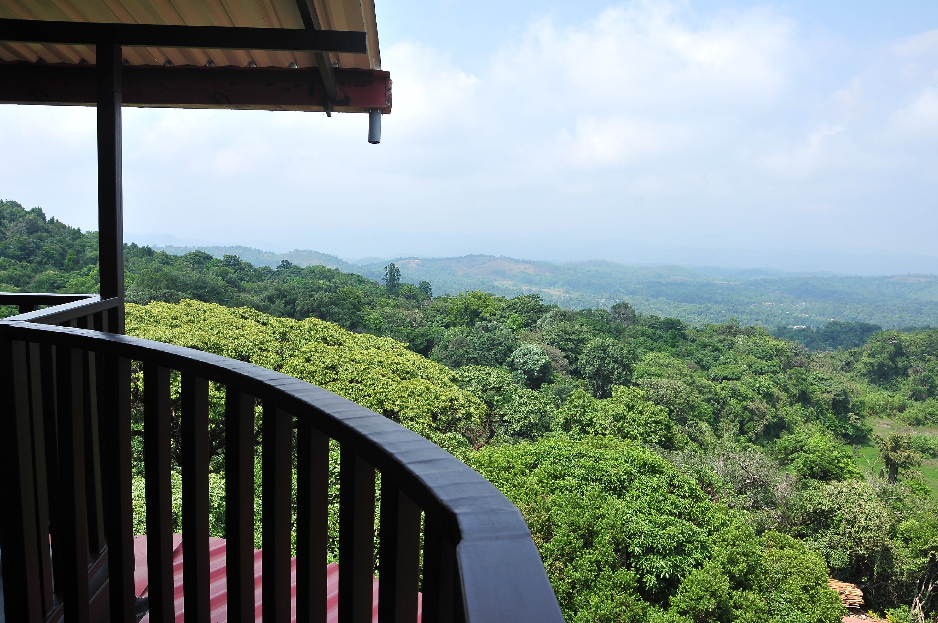 Treehouse Tree house Price, Address & Reviews