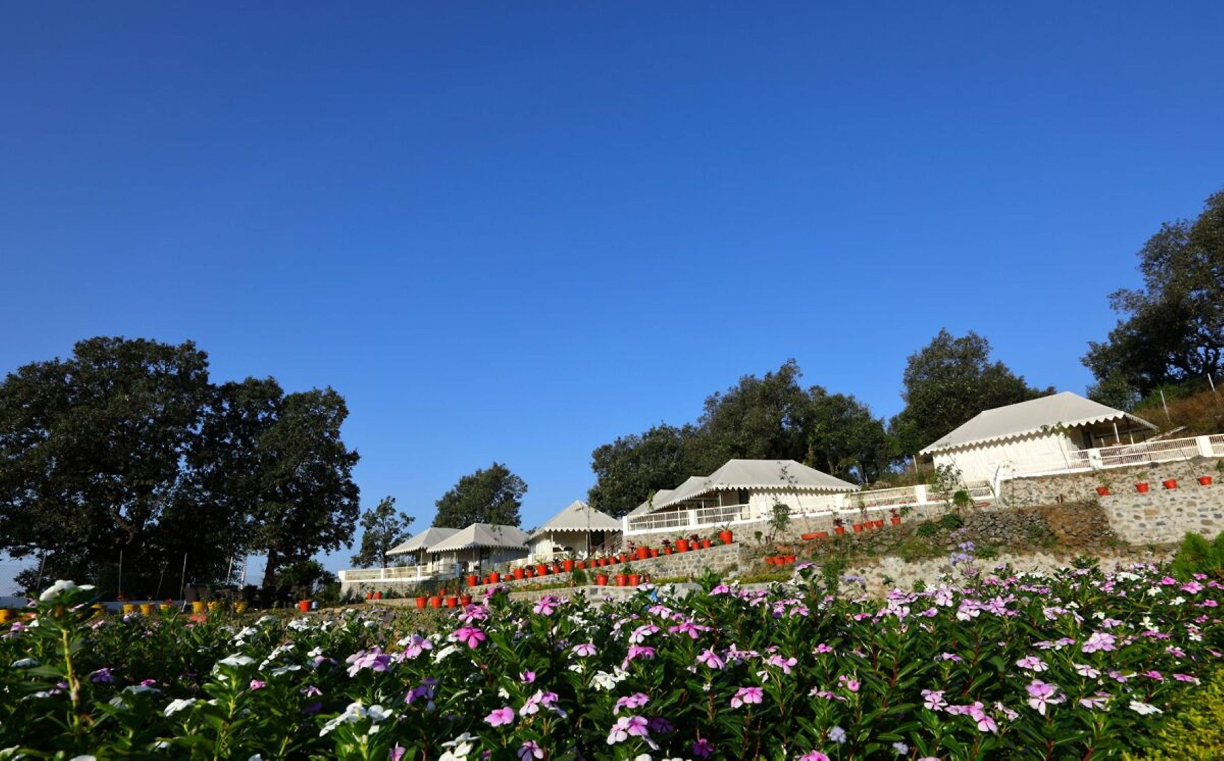 Charekh Food And Forest Resort Kotdwar INR 174 OFF ( ̶2̶9̶0̶0̶ ) Resort