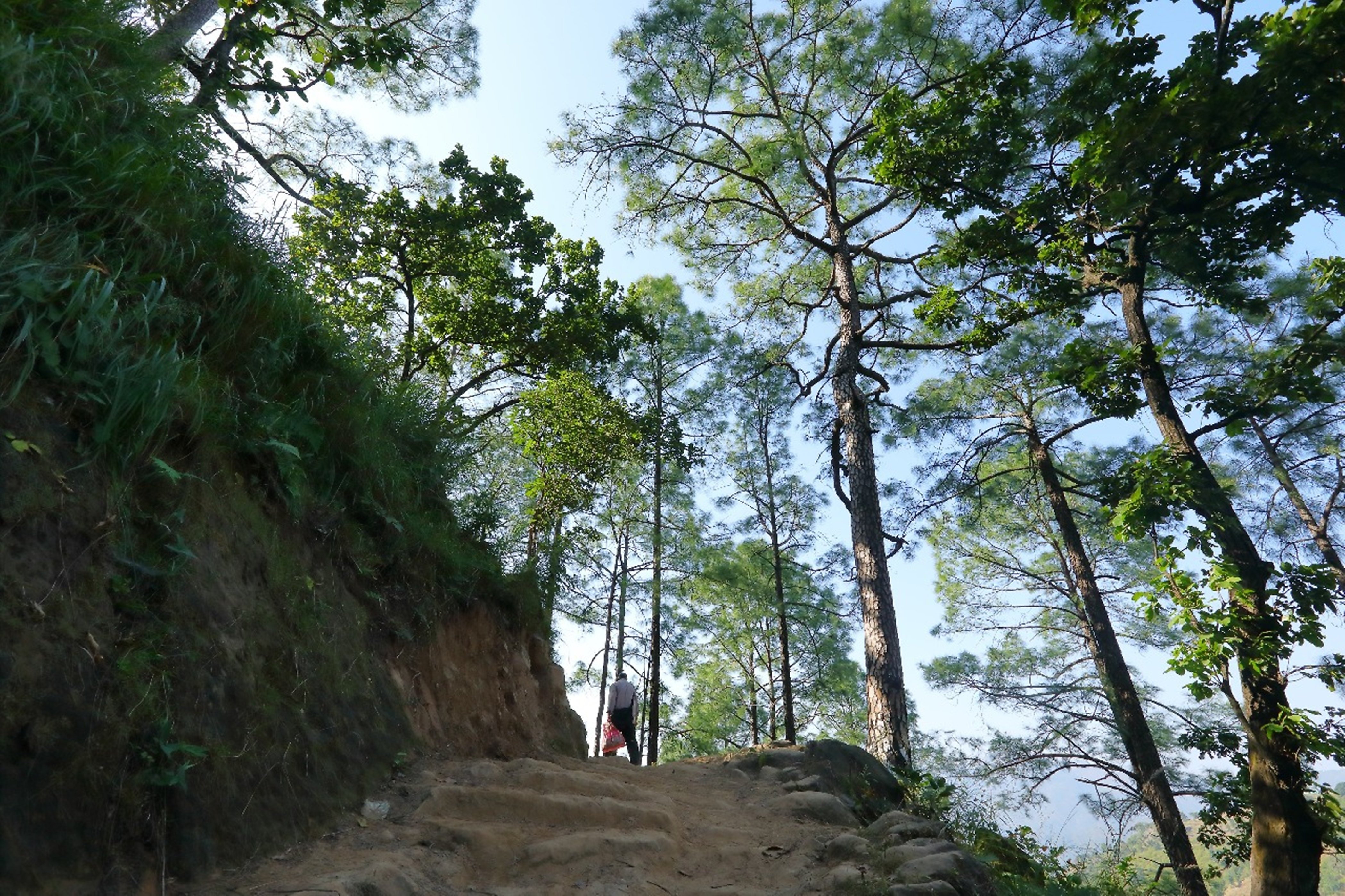 Charekh Food And Forest Resort Kotdwar INR 174 OFF ( ̶2̶9̶0̶0̶ ) Resort