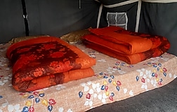 Alpine GLAMPING Tents