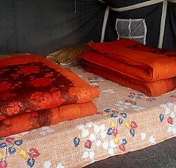 Alpine GLAMPING Tents