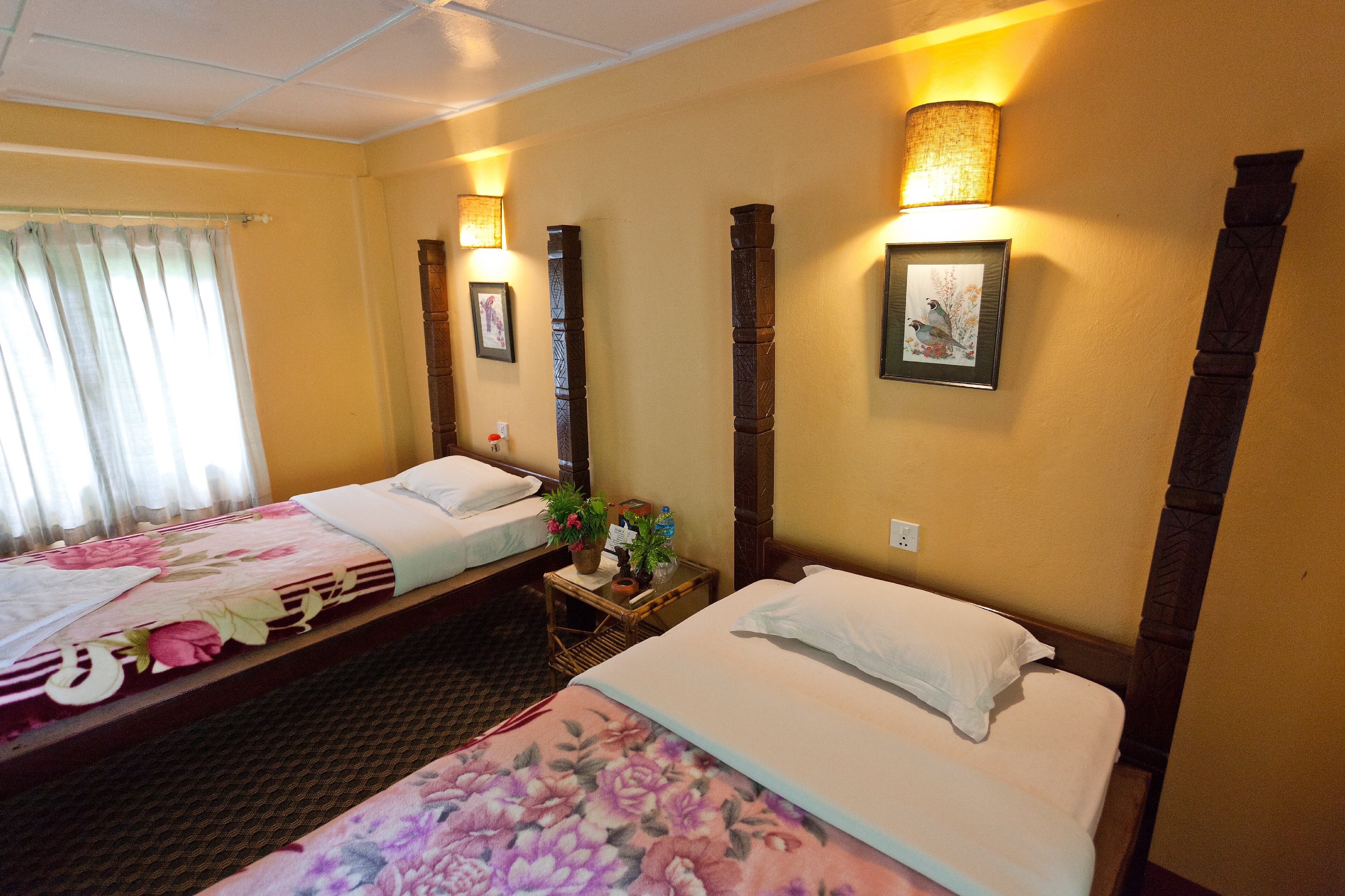 Maruni Sanctuary Lodge - Tap to explore photos