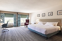Hilton Garden Inn Albany, Dougherty