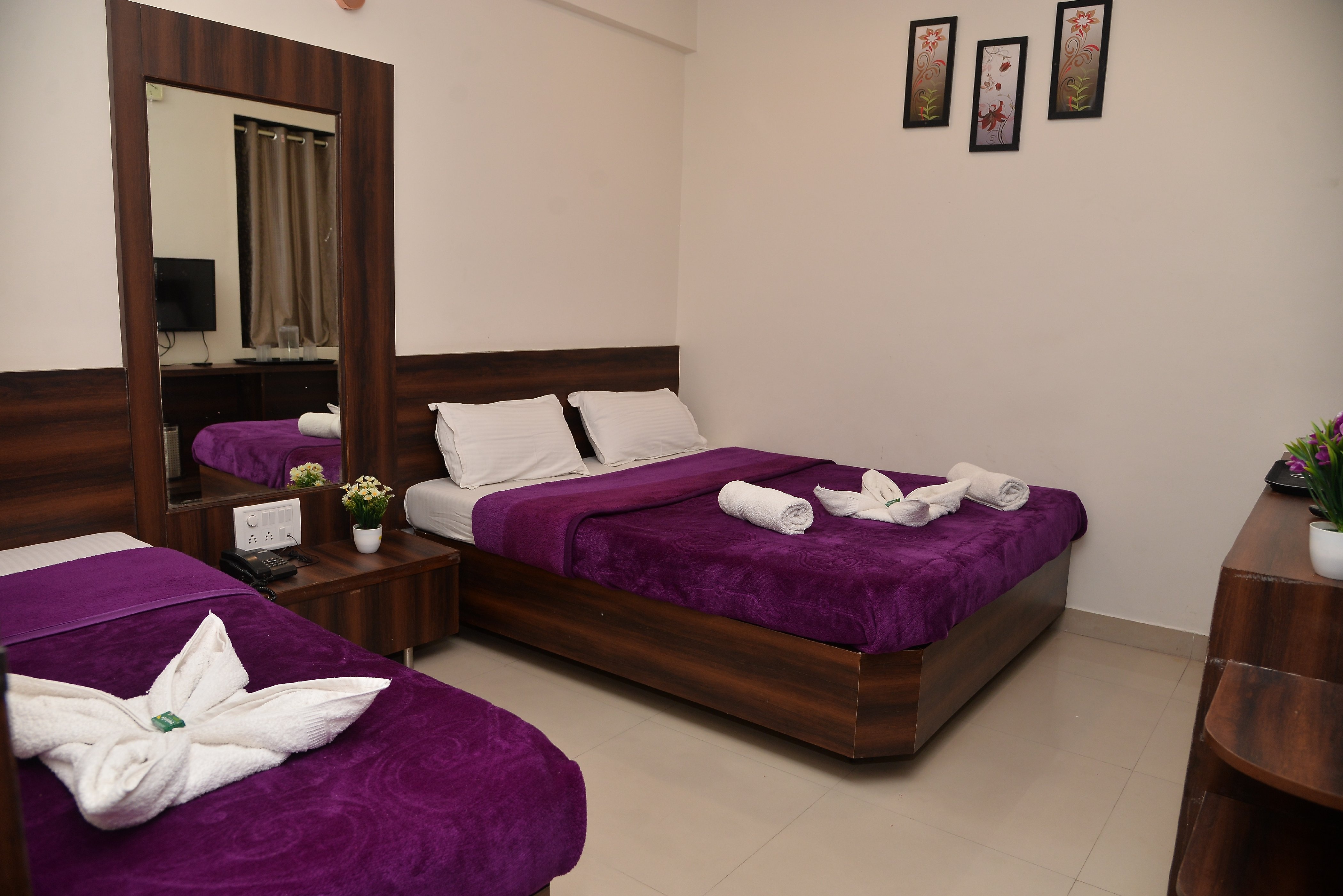 HOTEL DISHA PALACE 5