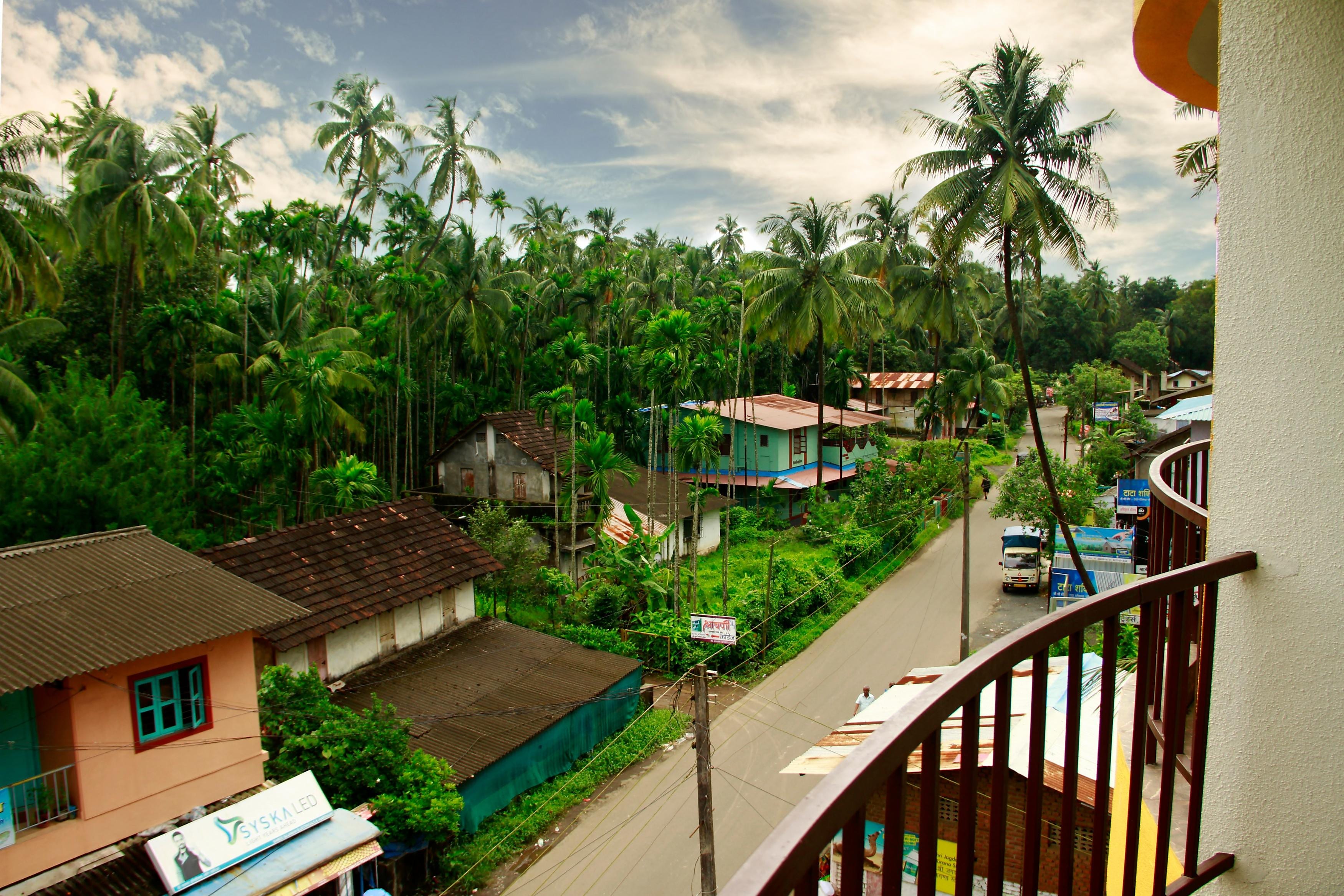 Hotel Betel Palm - Tap to explore photos