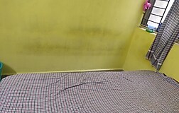 Dormitory Beds