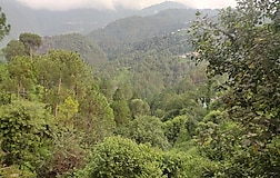 Outdoors