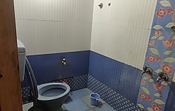 Dormitory Beds