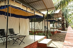 SOU Palms, Rajpipla