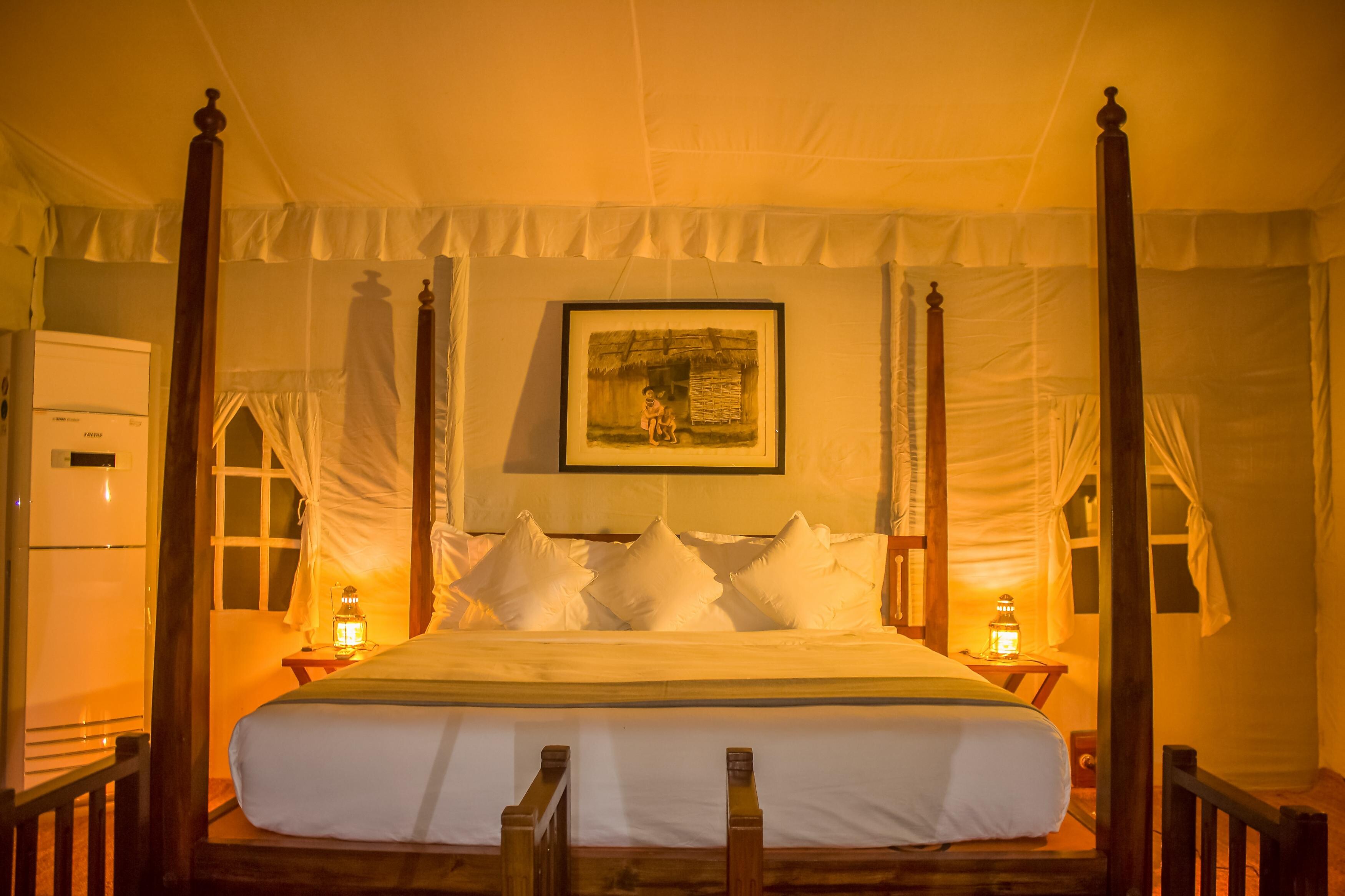 Umaria Safari Camp - Tap to explore photos