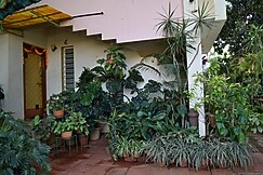 SAANVI GUEST HOUSE, Nashik