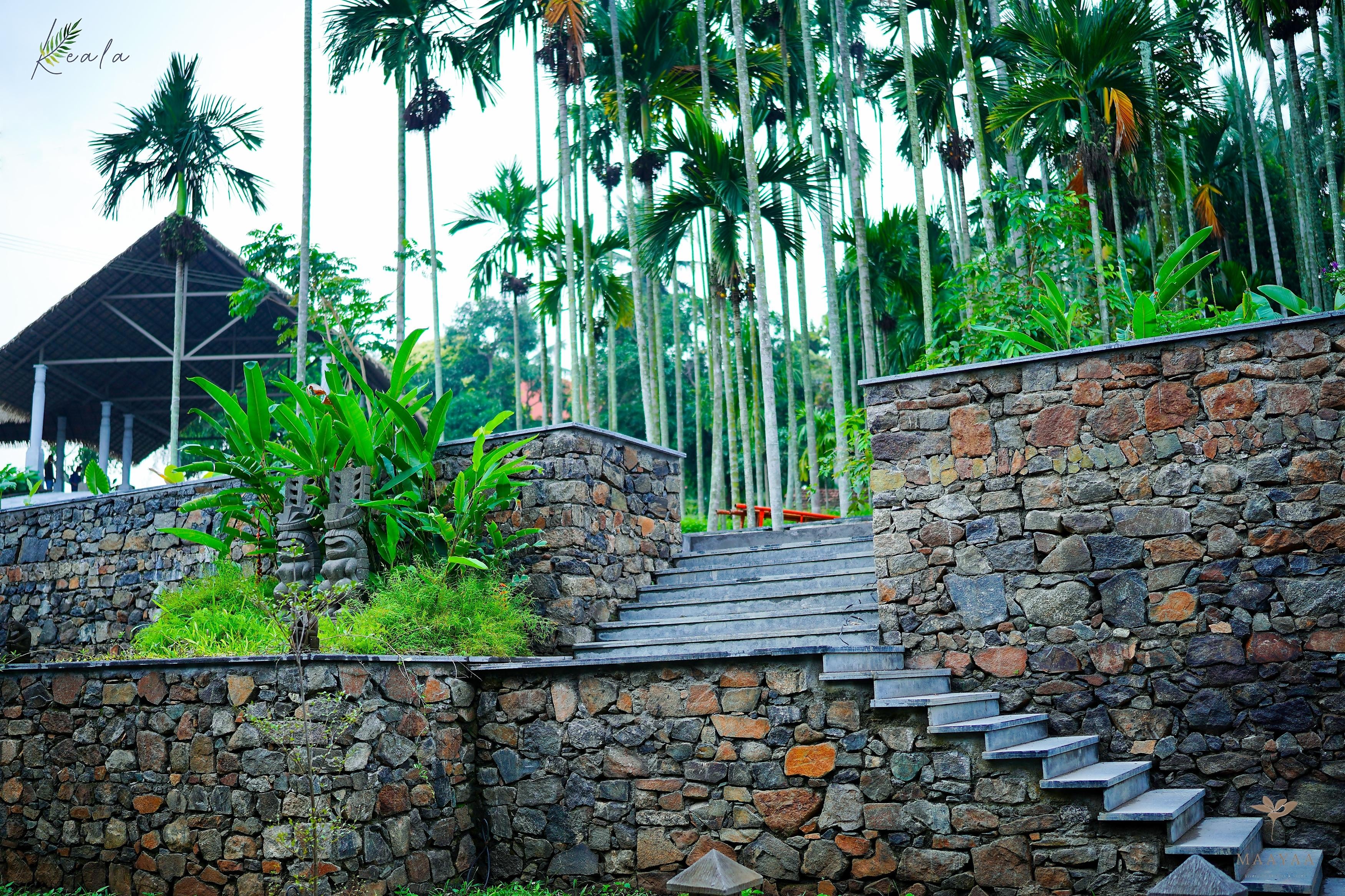 Maayaa Riverside villas & Suites - Tap to explore photos