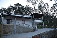 Tulip In Yercaud, Yercaud