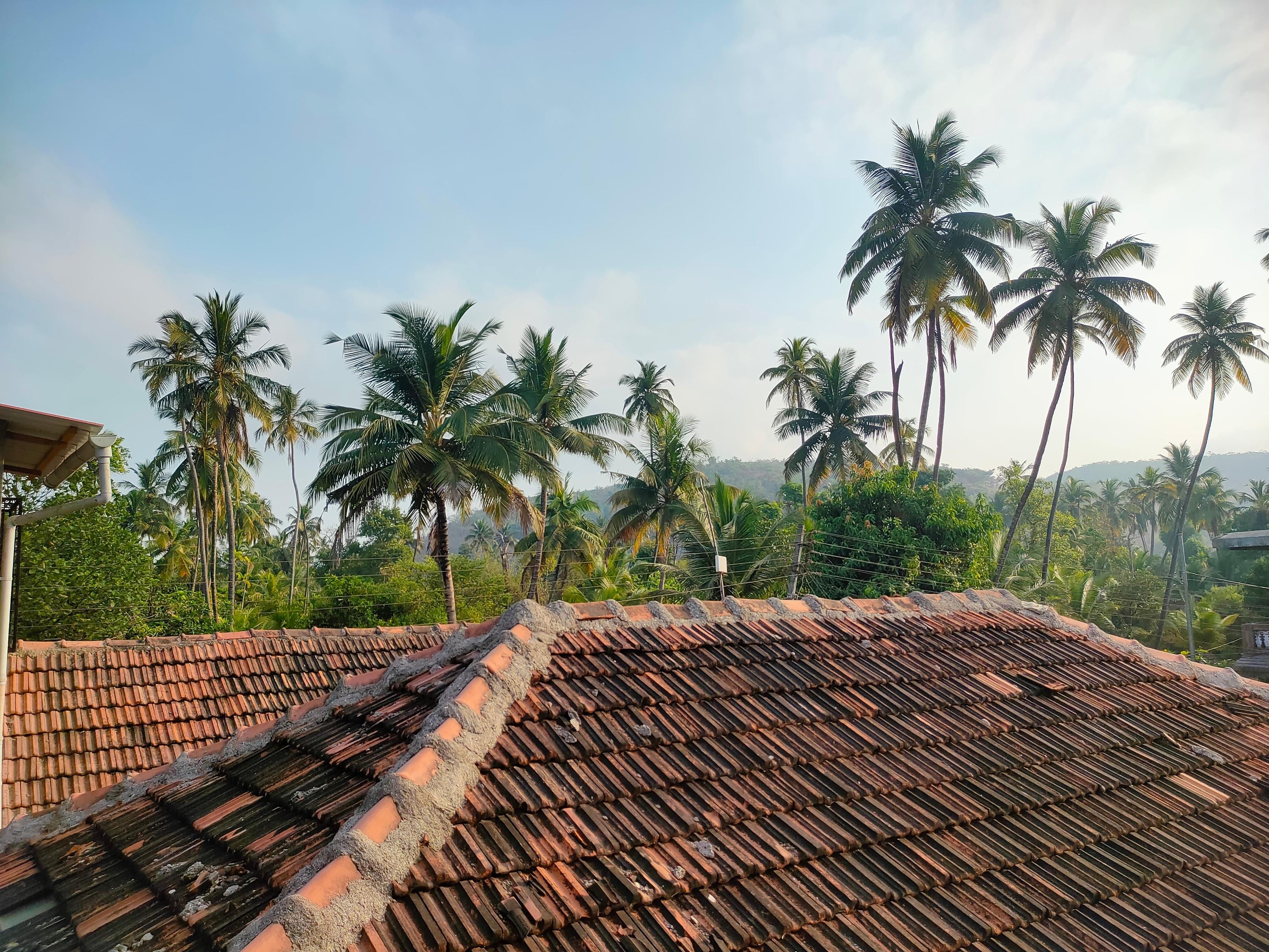 Shardashree Beach Resort Padale Dapoli 3