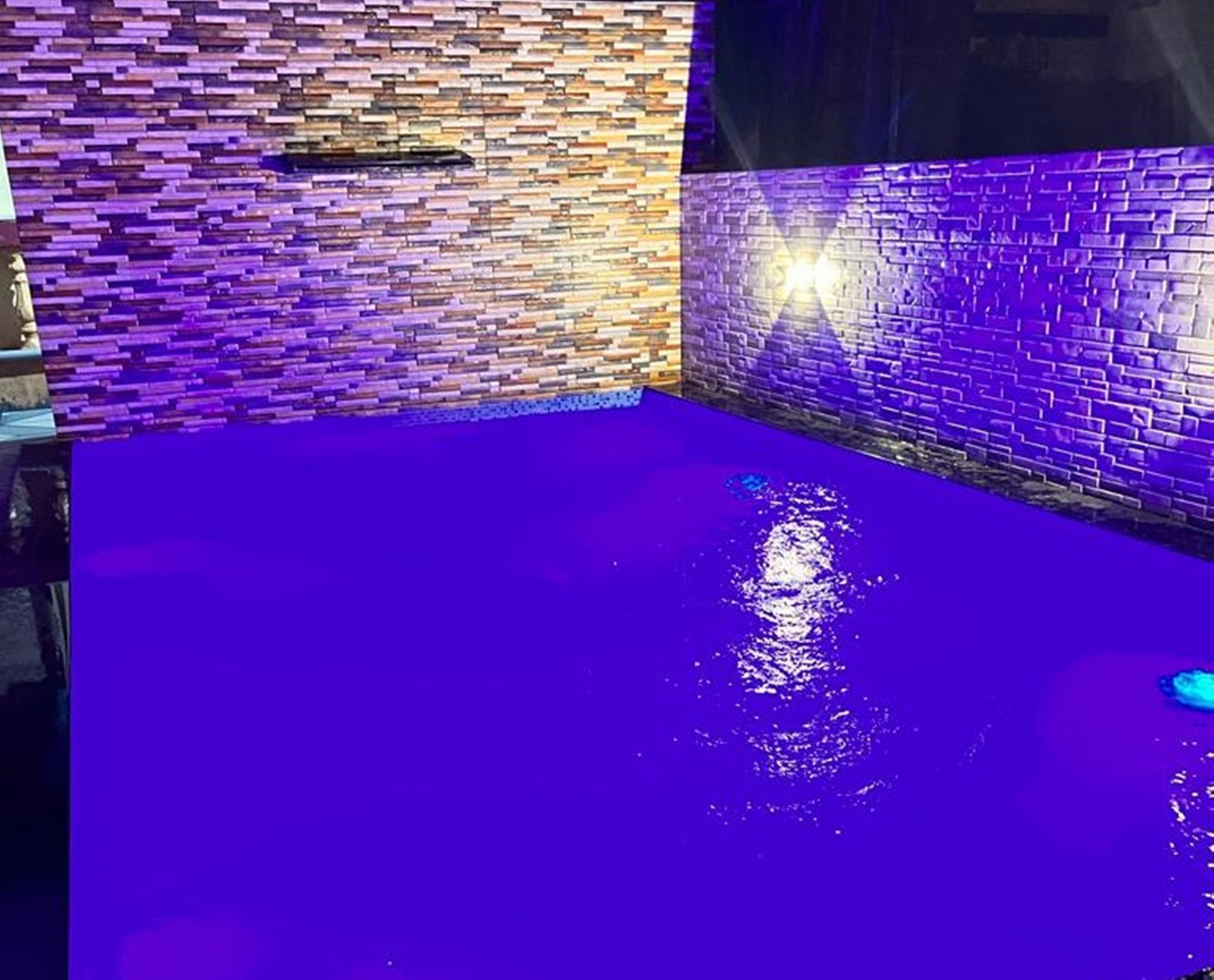 Little Heaven 2BHK Villa with Spacious Pool 3