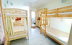 Dormitory Beds