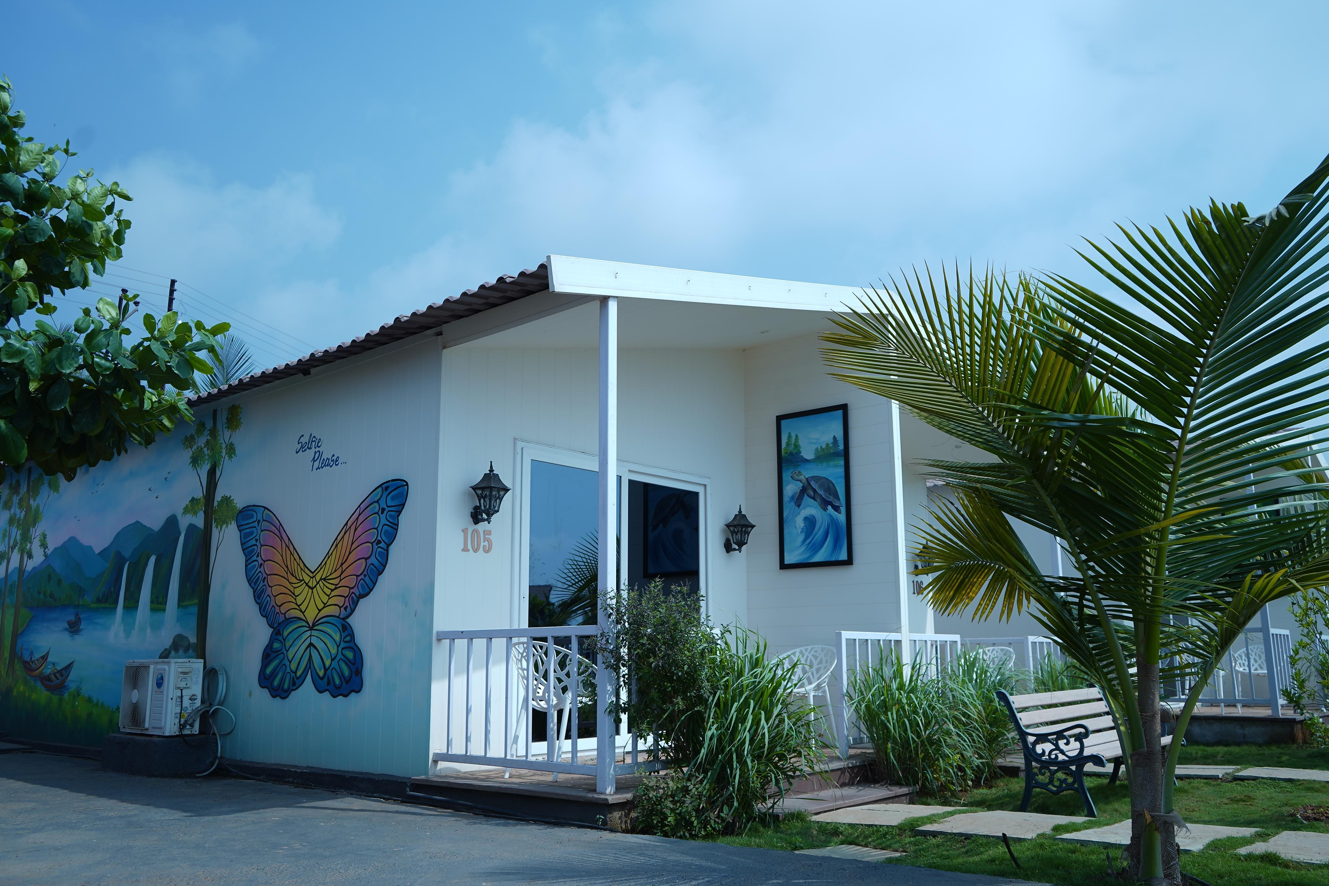 Casa De Turtle 4