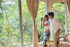 Jungle Ghar,Pachmarhi, Pachmarhi