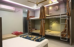 Dormitory Beds