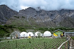 Camp The Sanga Manali, Pangong