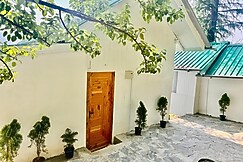 Duplex treehouse with Jacuzzi, Jibhi