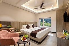 Hotel Vintage Villas-Near Fortis Shalimar Bagh, Delhi